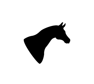 horse outline