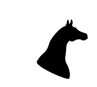 horse outline scaled rotated