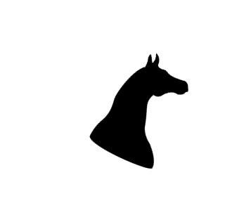horse outline rotated