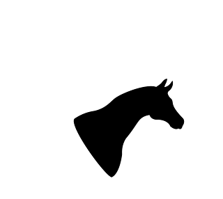 horse outline translated